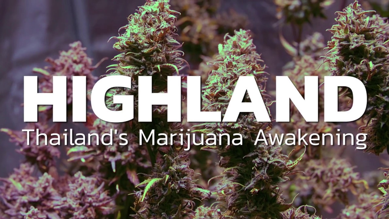 Download Highland: Thailand's Marijuana Awakening TV Show