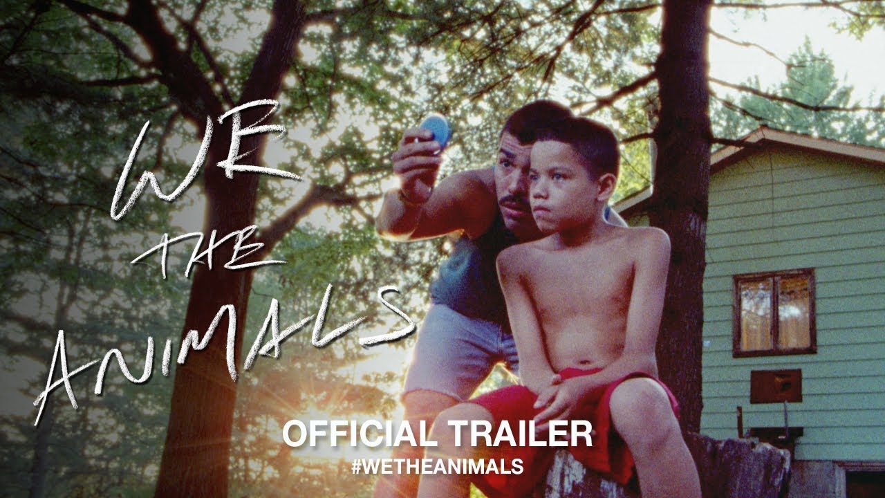 Download We the Animals Movie