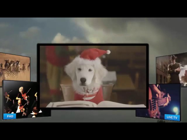 Download the Santa Buddies Dogs movie from Mediafire