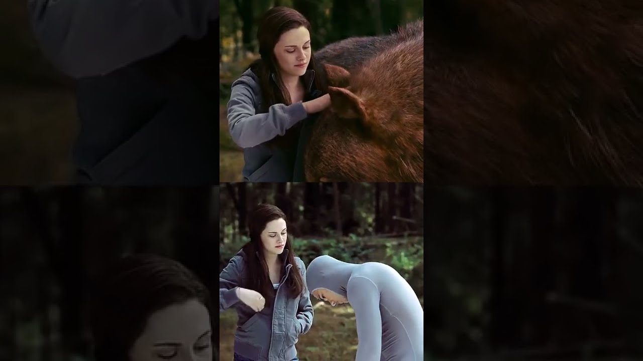 Download the Twilight Breaking Dawn Part 1 movie from Mediafire