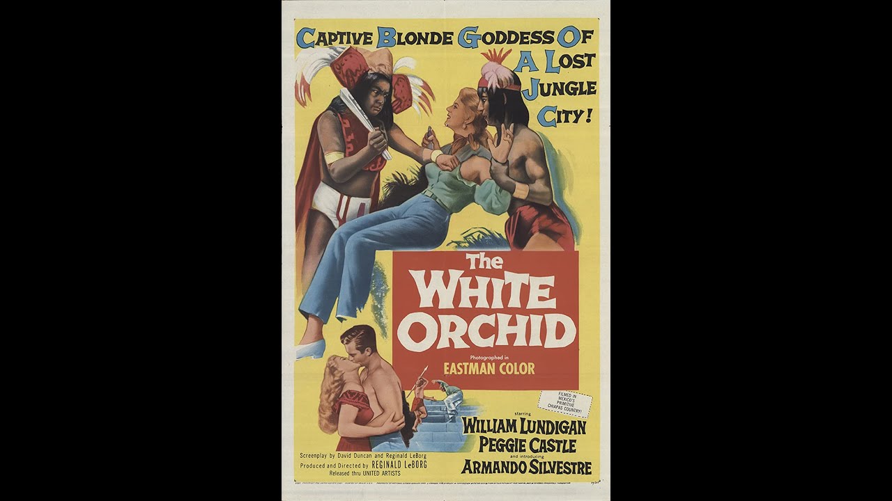 Download the White Orchid The movie from Mediafire